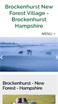 Mobile Screenshot of brockenhurst-newforest.org.uk